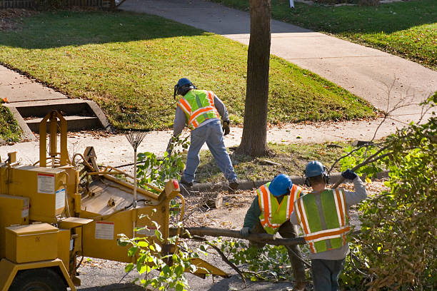 Leaf Removal in Statesboro, GA